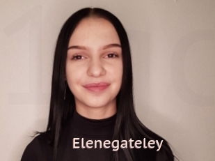 Elenegateley