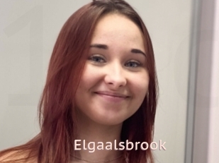 Elgaalsbrook