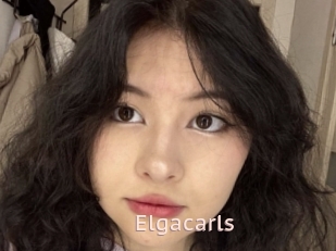 Elgacarls