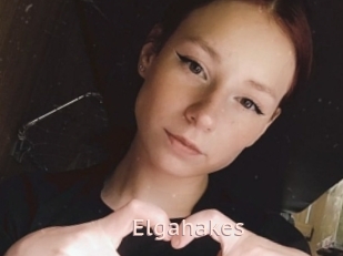 Elgahakes