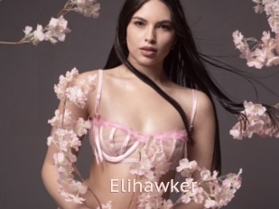 Elihawker