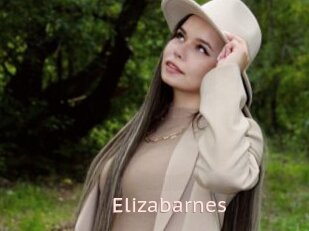 Elizabarnes