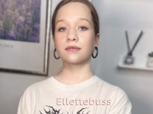 Ellettebuss