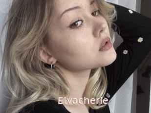 Elvacherie