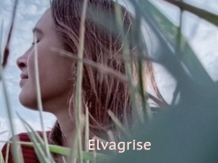 Elvagrise
