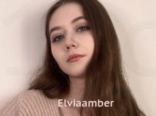 Elviaamber
