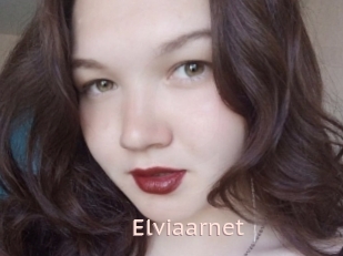 Elviaarnet