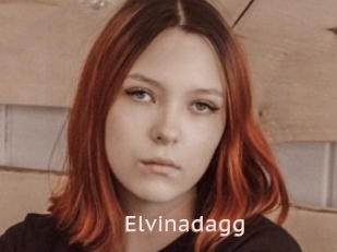 Elvinadagg