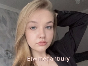 Elwinedanbury