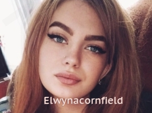 Elwynacornfield