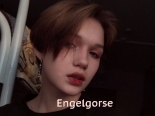 Engelgorse