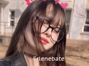 Erlenebate