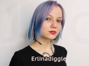 Erlinadiggle