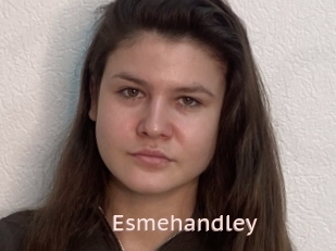 Esmehandley