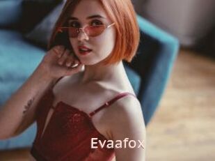 Evaafox