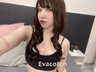 Evacolon