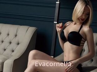 Evacornelia