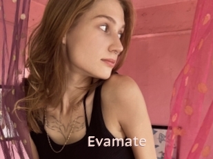 Evamate