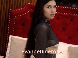Evangeliinerosse