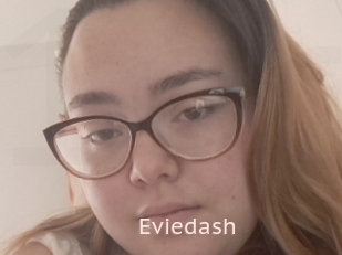 Eviedash