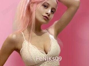 FeNiKs09