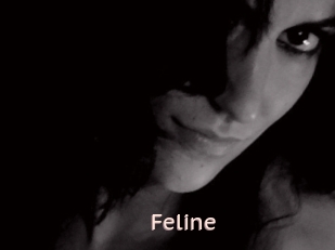 Feline