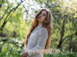 FlexibleKatrin