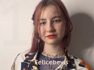Felicebevis