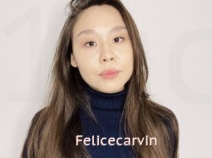 Felicecarvin