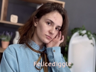 Felicediggle