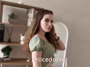 Felicedrover