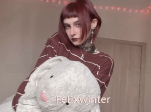 Felixwinter