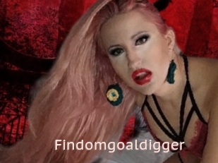 Findomgoaldigger