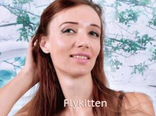 Flykitten