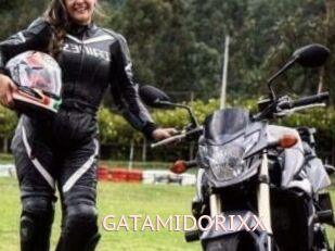 GATAMIDORIXX