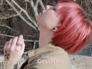 GessNice
