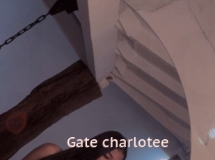 Gate_charlotee
