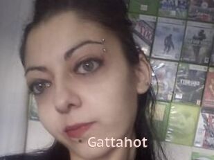 Gattahot