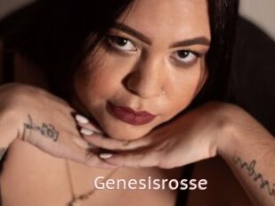 Genesisrosse