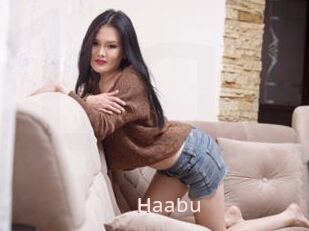 Haabu