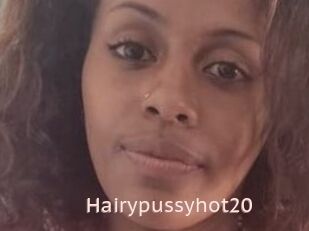 Hairypussyhot20