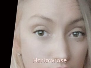Harlowrose