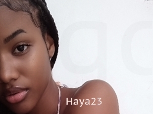 Haya23