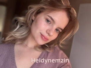 Heidynemzin