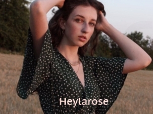 Heylarose