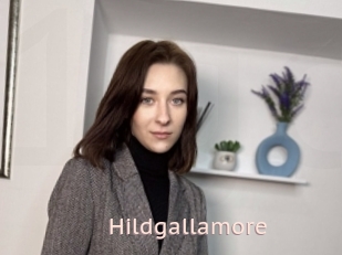Hildgallamore