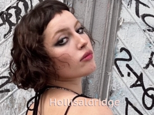 Hollisaldridge