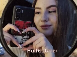 Hollisatcher