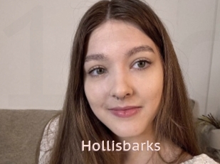Hollisbarks