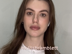 Hollisbramblett